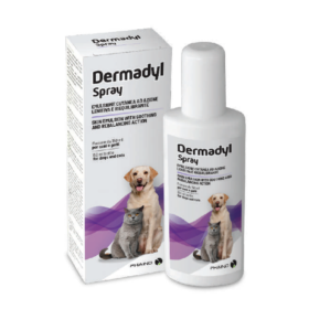 DERMADYL SPRAY