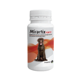 MIRARTIX FORTE