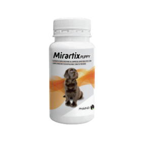 MIRARTIX PUPPY img